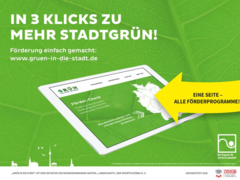 Förderung einfach gemacht: In drei Klicks zu mehr Stadtgrün