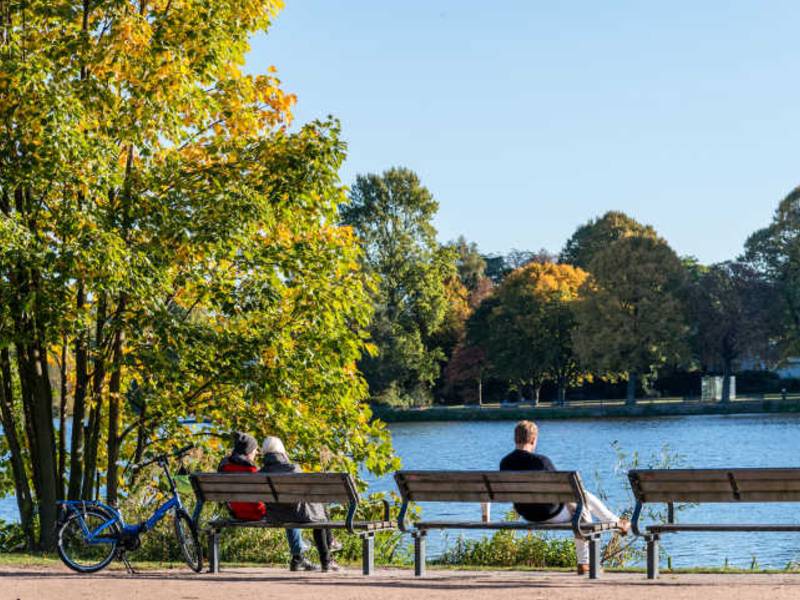 IPM 2019: Bund deutscher Baumschulen präsentiert „Grüne Städte für ein nachhaltiges Europa“